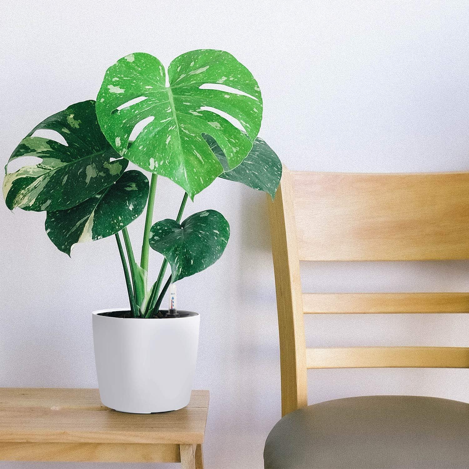 Maceta Autorriego KINJOEK 5 Paquetes 17.78 cm Blanca