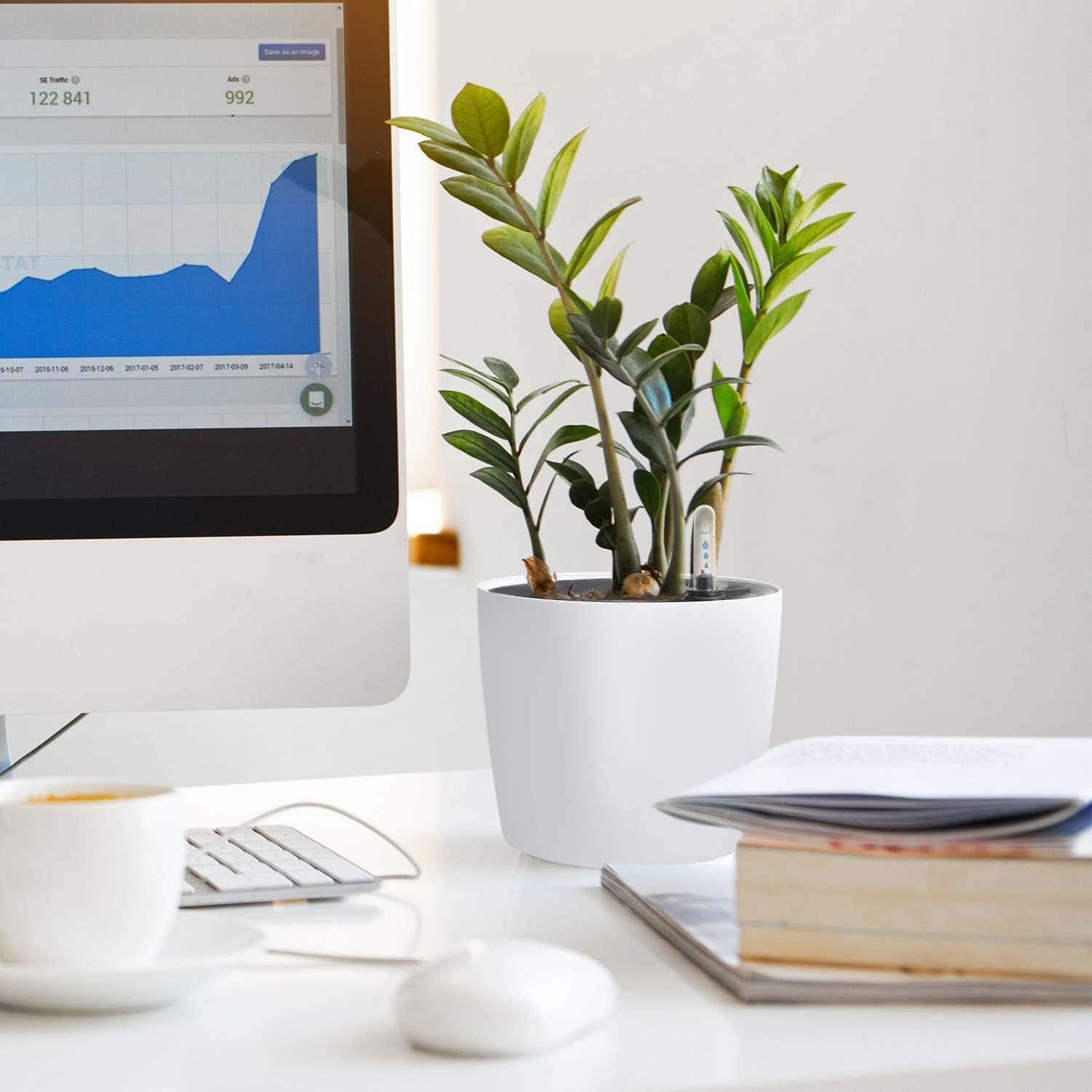 Maceta Autorriego KINJOEK 5 Paquetes 17.78 cm Blanca