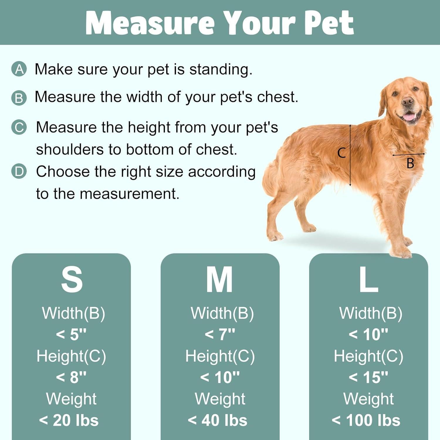 Puerta para Perros Pequeña PetSafe, 16.5 x 23.5 cm, Blanca