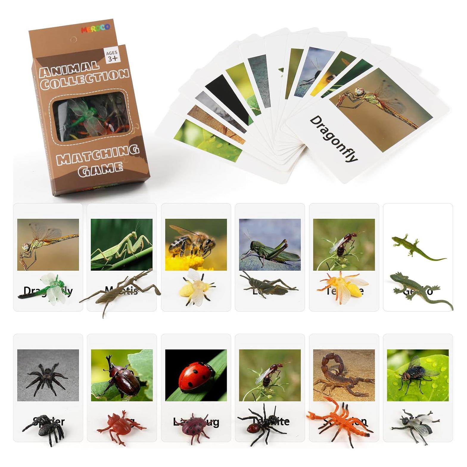 Juego Montessori MEROCO Insectos y Tarjetas de Emparejamiento