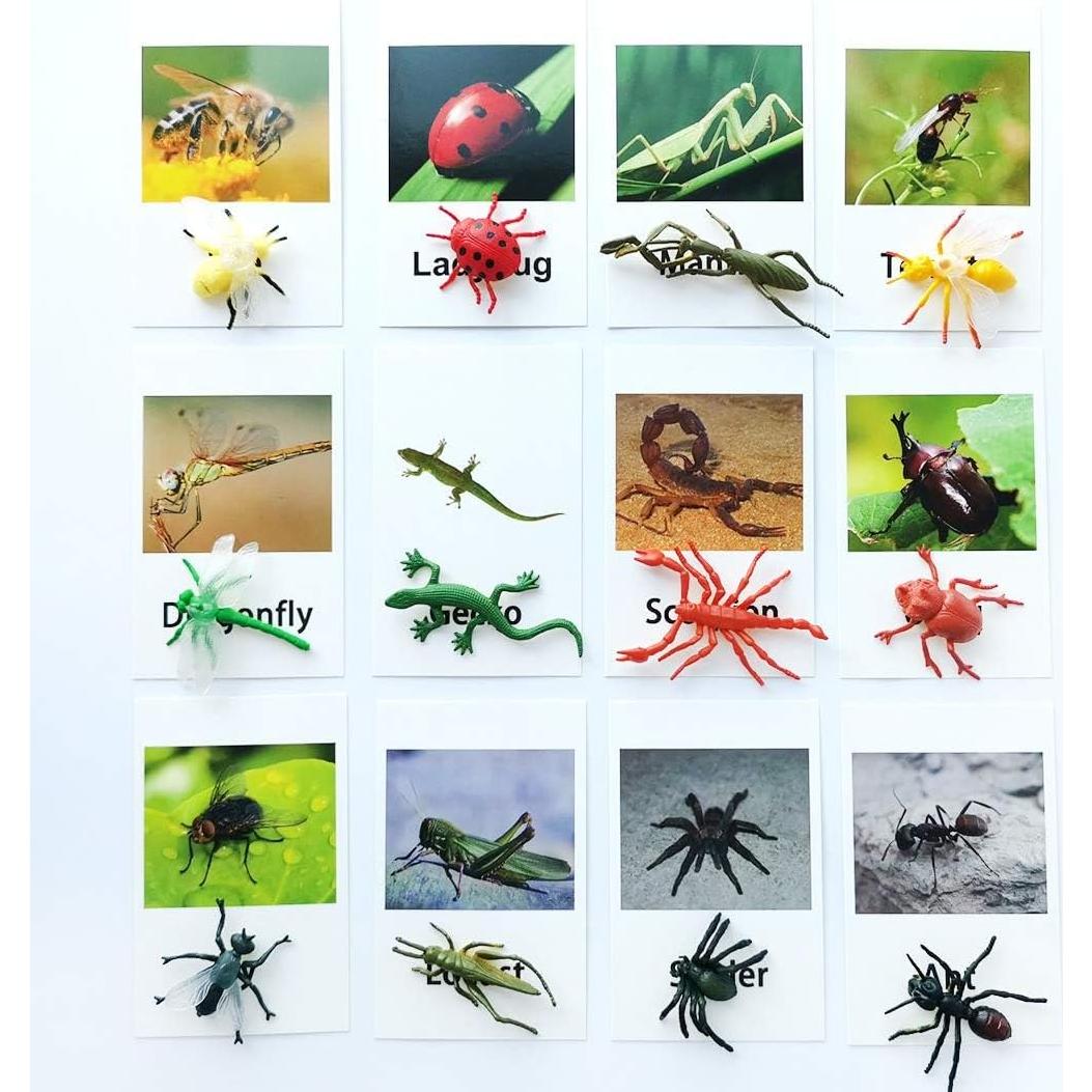 Juego Montessori MEROCO Insectos y Tarjetas de Emparejamiento