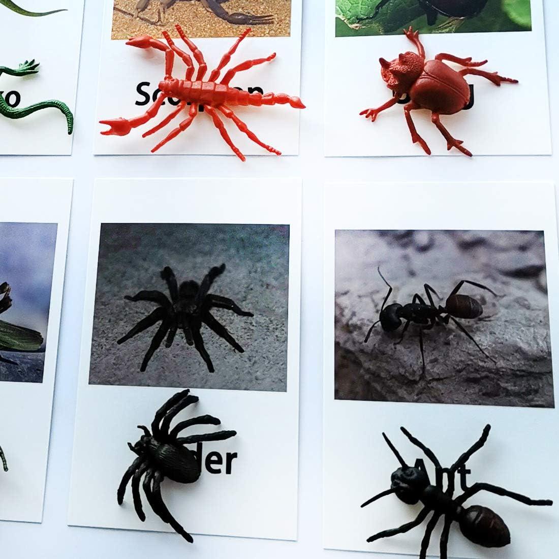 Juego Montessori MEROCO Insectos y Tarjetas de Emparejamiento