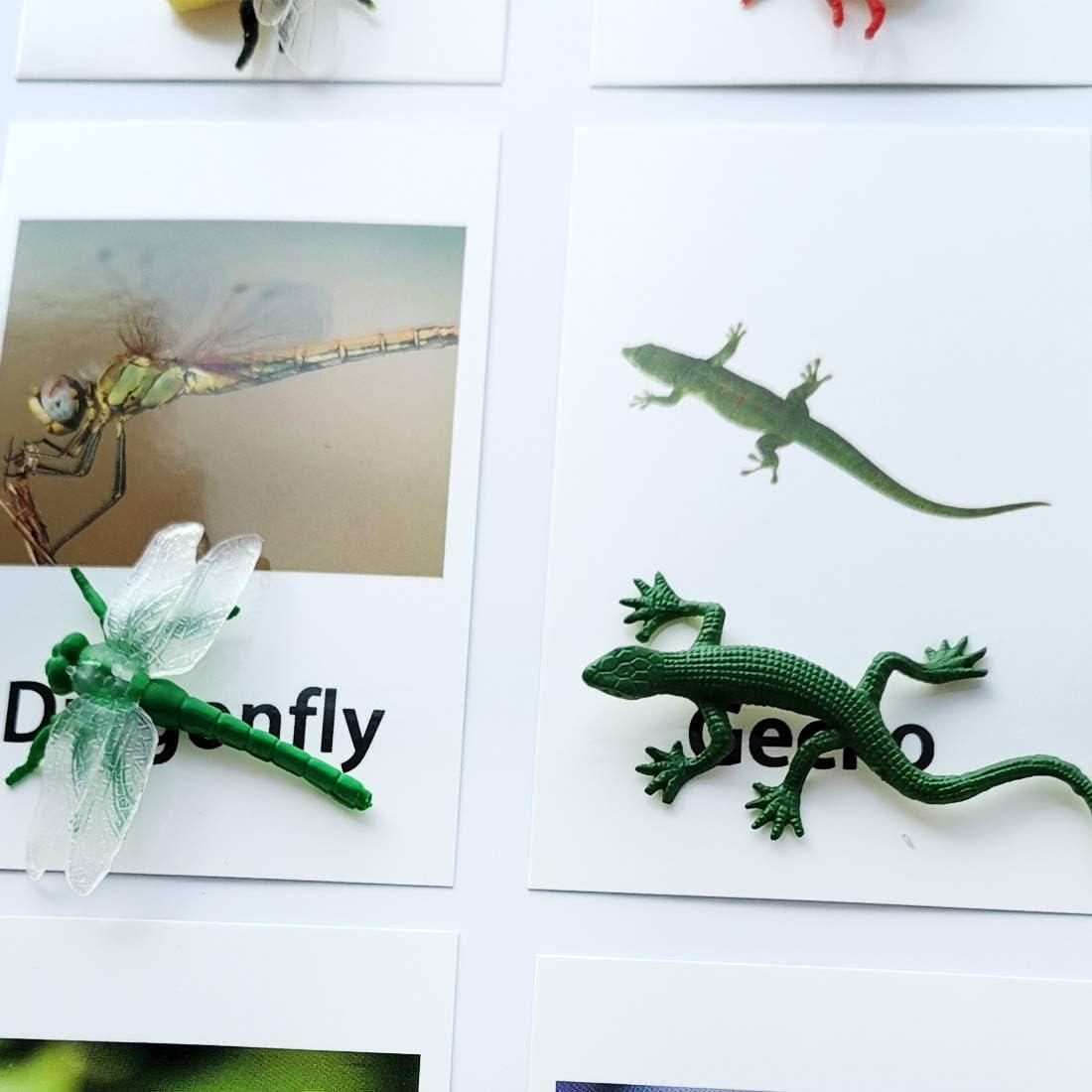 Juego Montessori MEROCO Insectos y Tarjetas de Emparejamiento