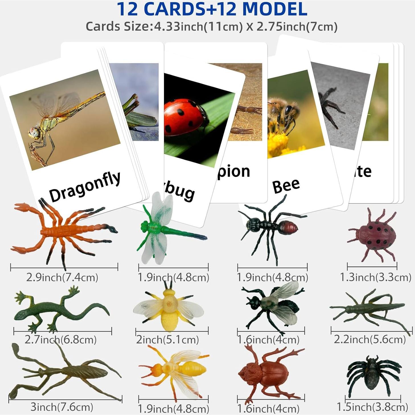 Juego Montessori MEROCO Insectos y Tarjetas de Emparejamiento