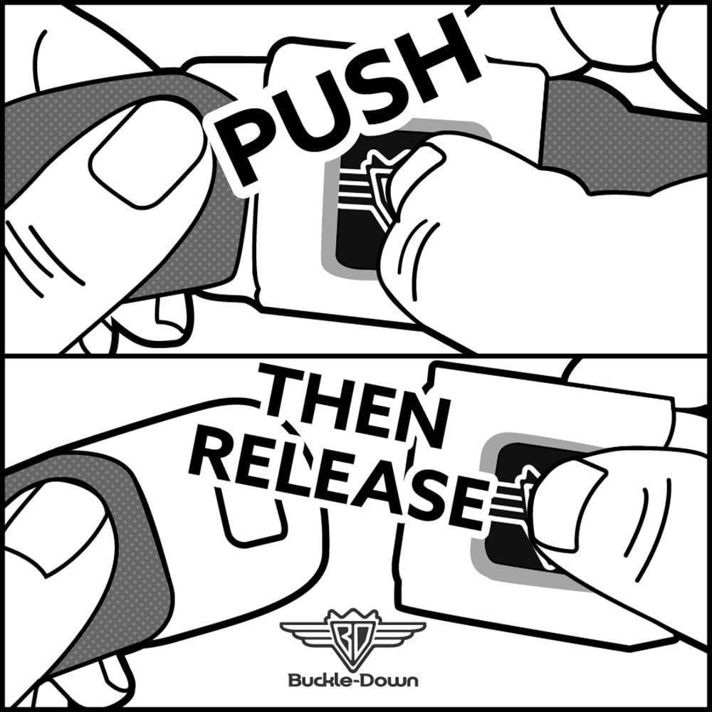 Cinturón de Seguridad Buckle-Down Harley Quinn 2.54 cm Ancho 51-91 cm Largo