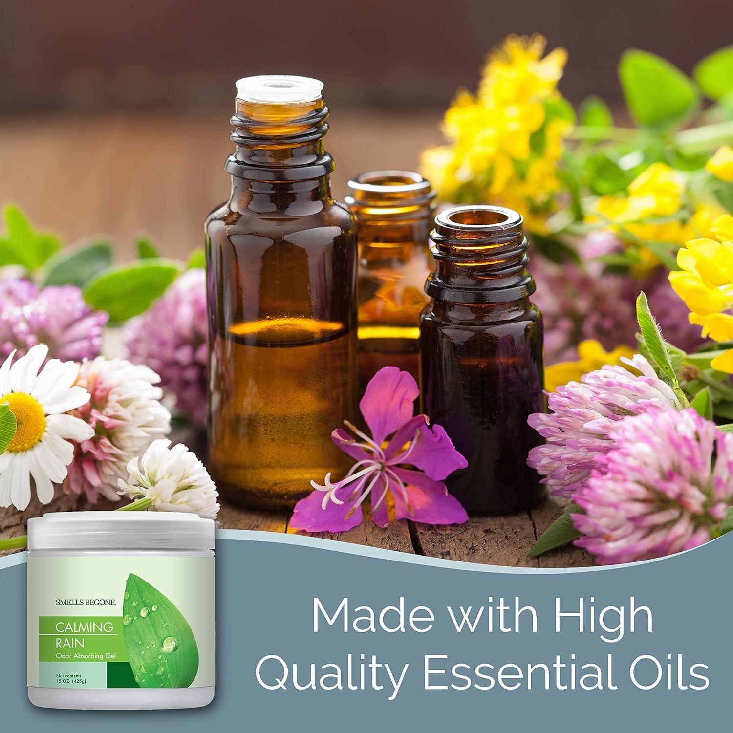 Gel Absorbente de Olores SMELLS BEGONE 425g Lluvia Calmante