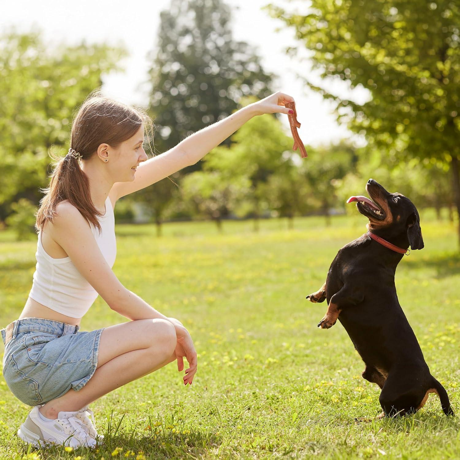 Juguete para Perros Bam-Bones Plus - Fibra de Bambú 14.61 cm