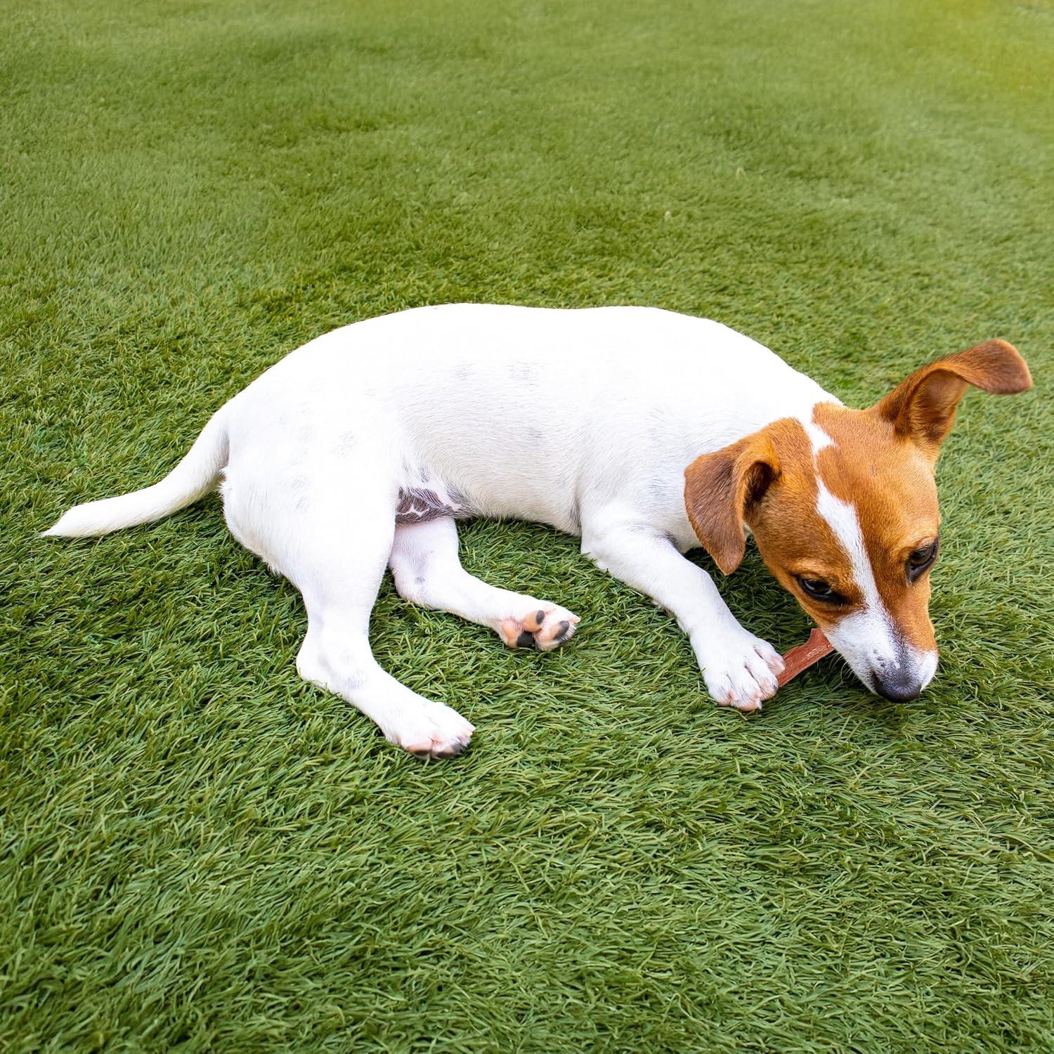 Juguete para Perros Bam-Bones Plus - Fibra de Bambú 14.61 cm