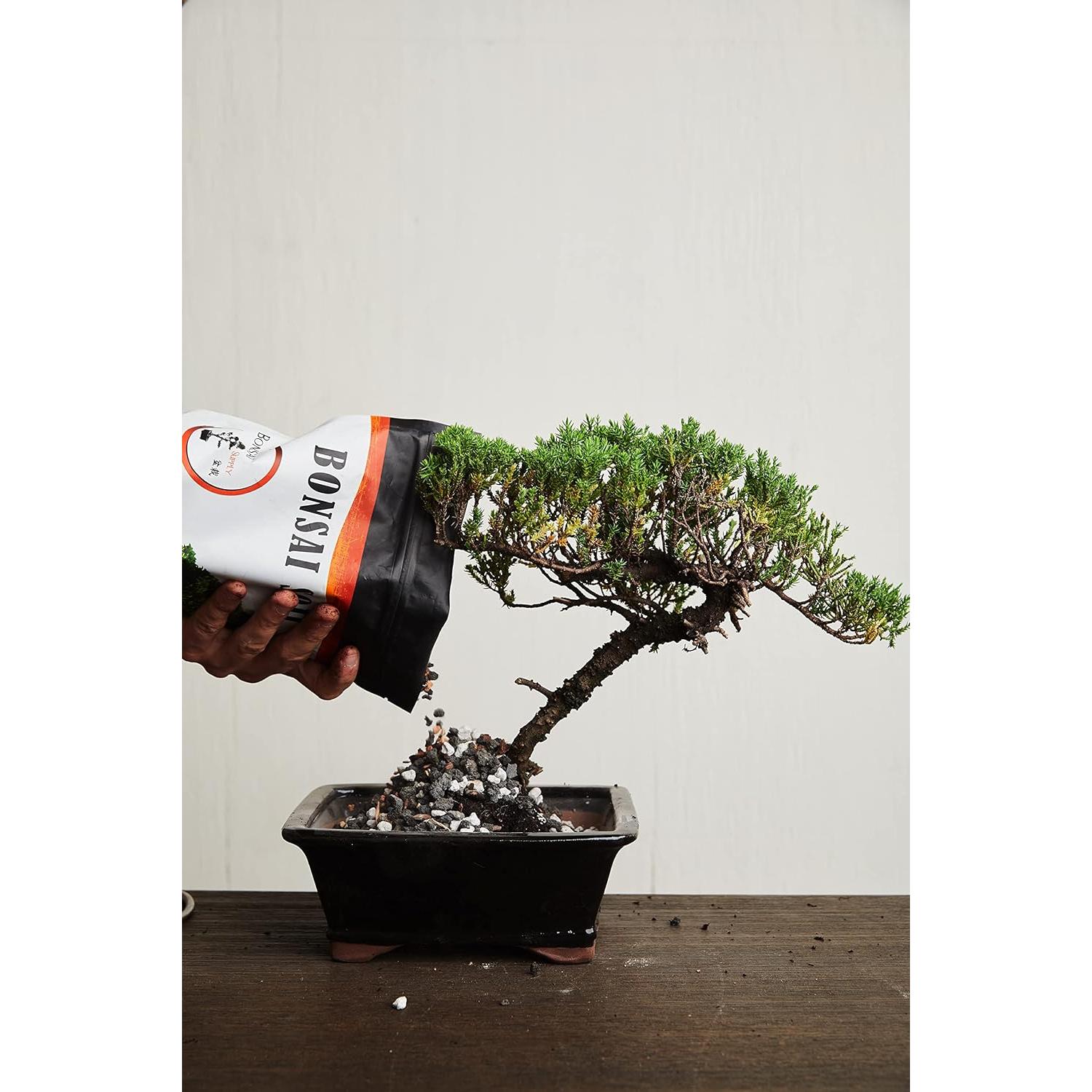 Mezcla de Suelo para Bonsai The Bonsai Supply 1,12 kg Drenaje Rápido
