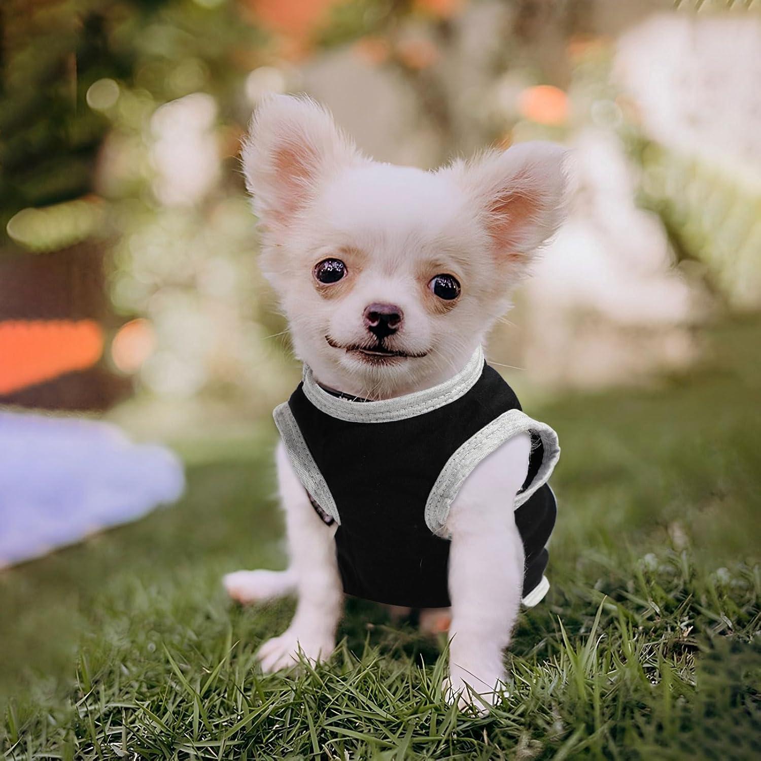 Conjunto 4 Piezas Ropa para Perros Dinkinty XXS~M Colores