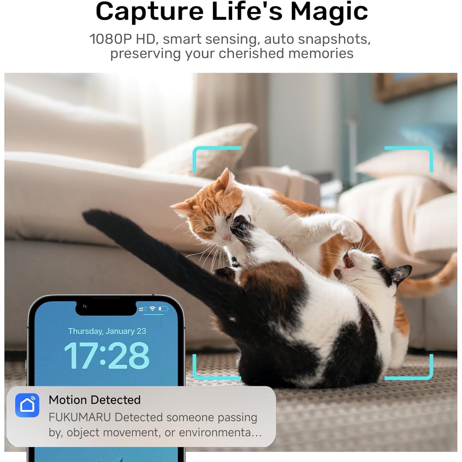 Comedero Automático FUKUMARU para Gatos HD 1080P WiFi