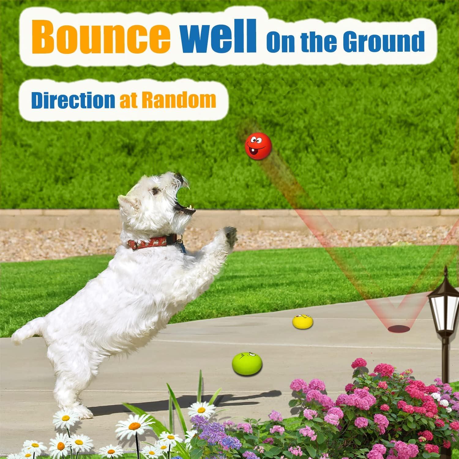 Juguetes de goma para perros HOLYSTEED 6 piezas chirriantes