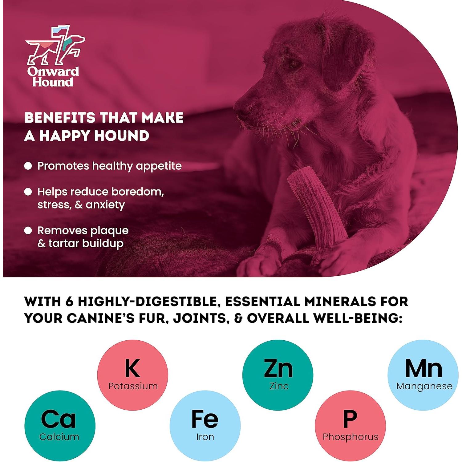 Cuerno de Alce Natural Onward Hound Mediano 15-35 lb