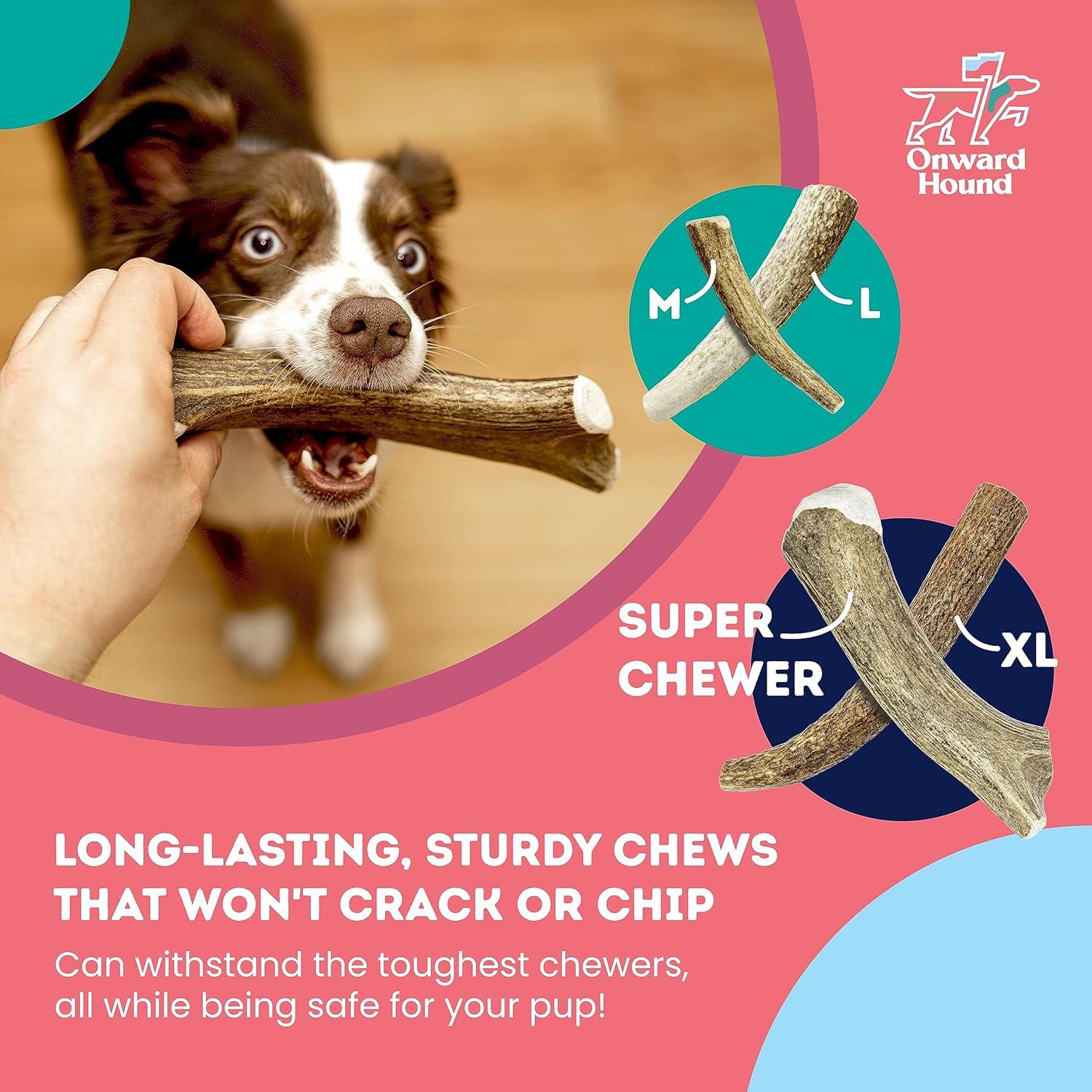 Cuerno de Alce Natural Onward Hound Mediano 15-35 lb