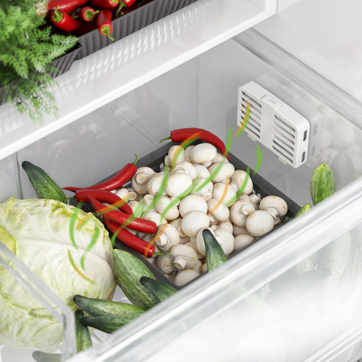 Kit de Eliminación de Olores iTouchless AbsorbX 2-Pack