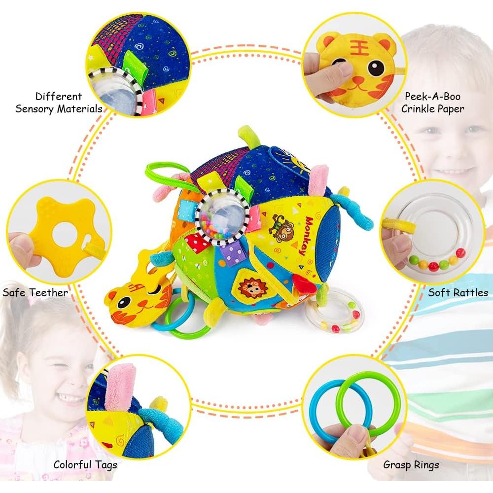 Bola Sensorial 8 en 1 Teytoy para Bebés 3 a 12 Meses