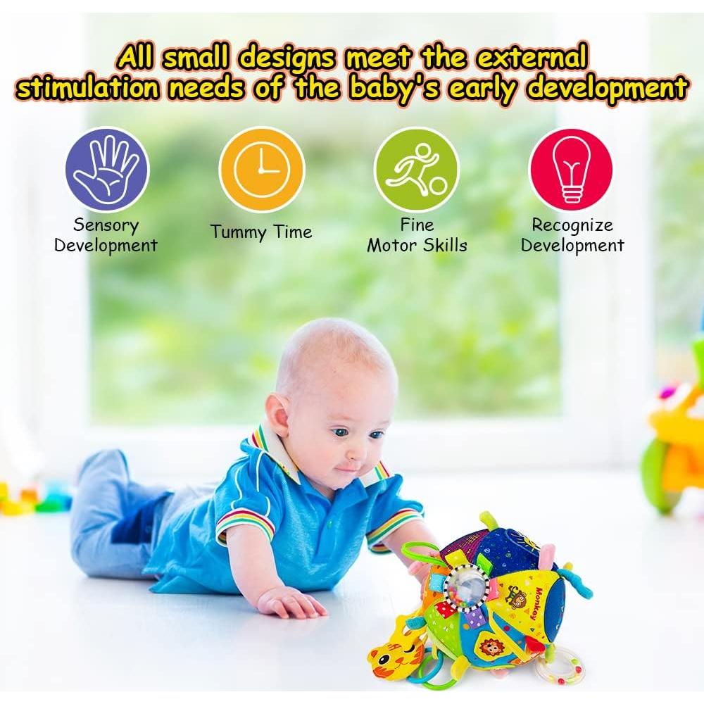 Bola Sensorial 8 en 1 Teytoy para Bebés 3 a 12 Meses