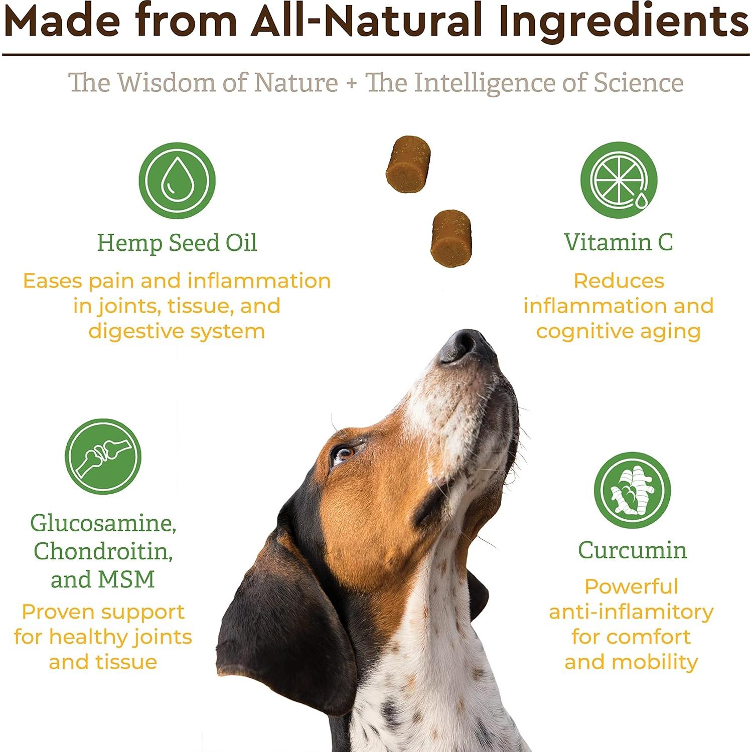 Suplemento Natural para Perros IPL Ultimate - Galletas 90 Unidades