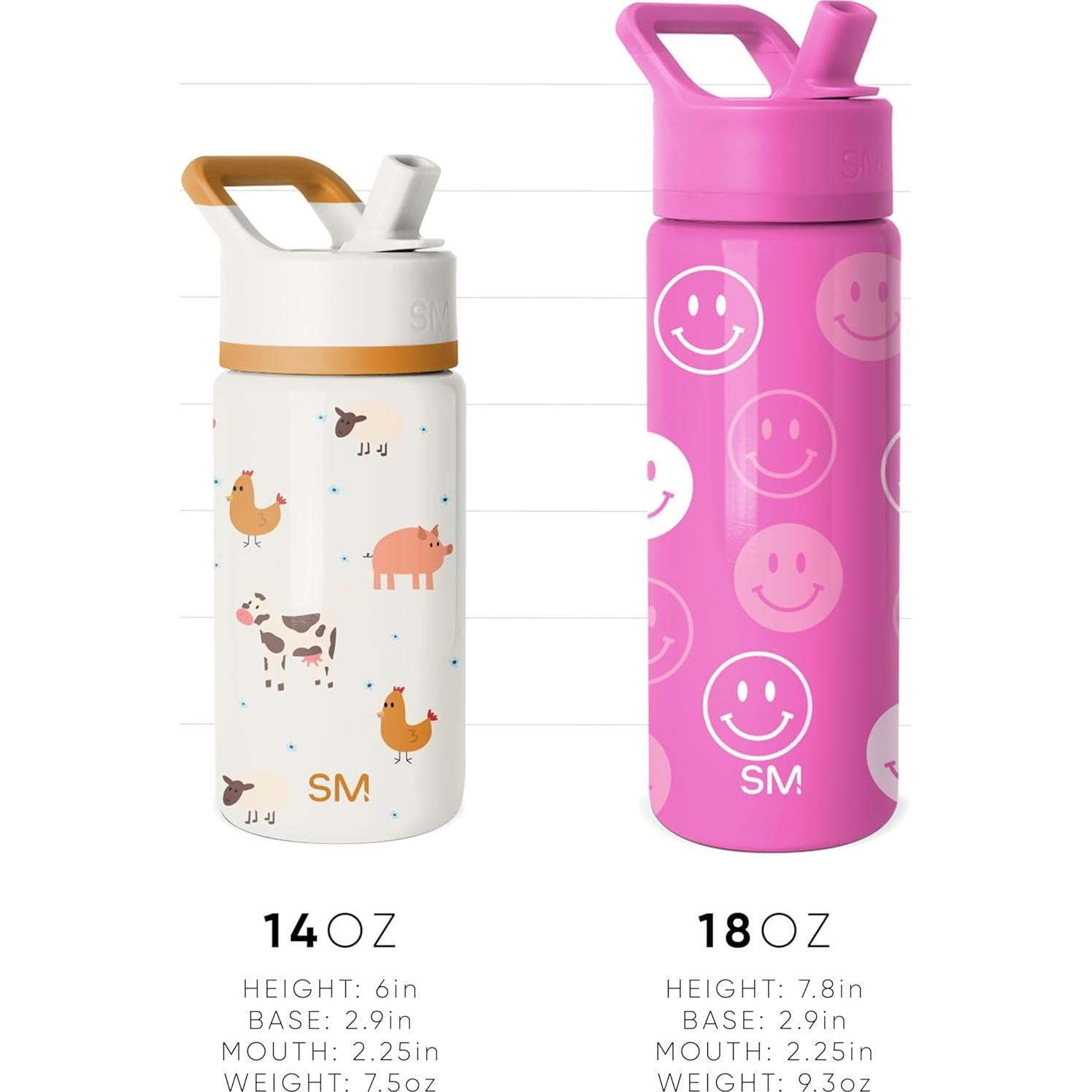 Botella de Agua Simple Modern Disney Encanto 532ml Aislada