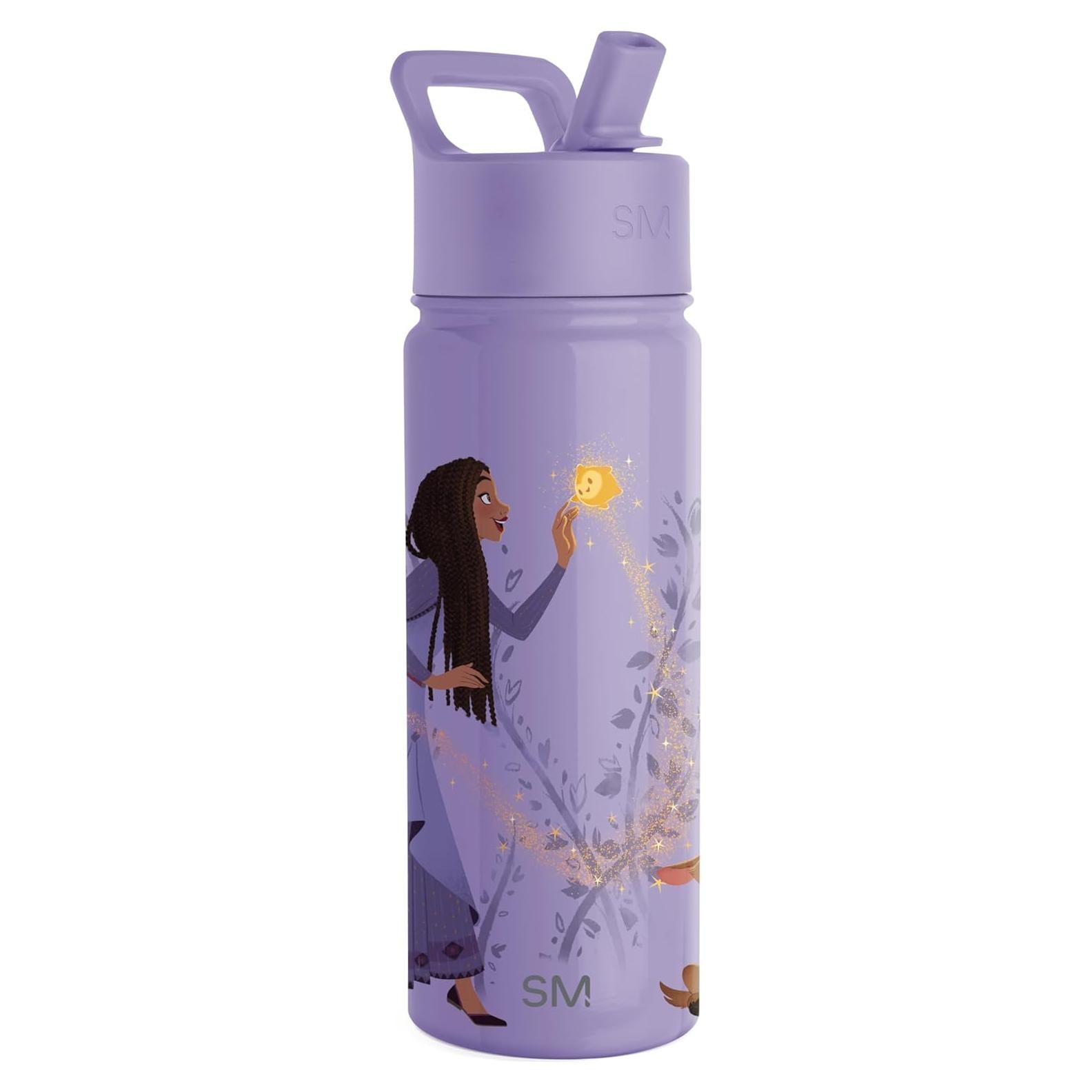 Botella de Agua Simple Modern Disney Wish 18oz Aislada