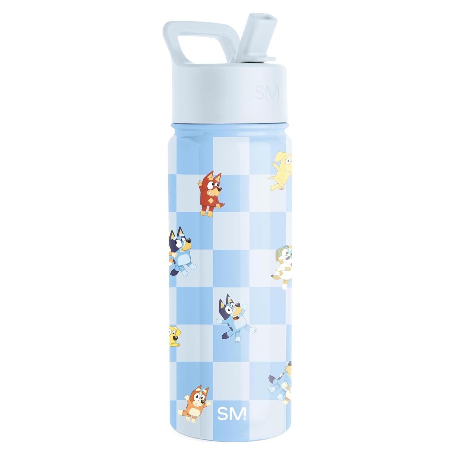 Botella de Agua Aislada Simple Modern 530ml Tapa Popote