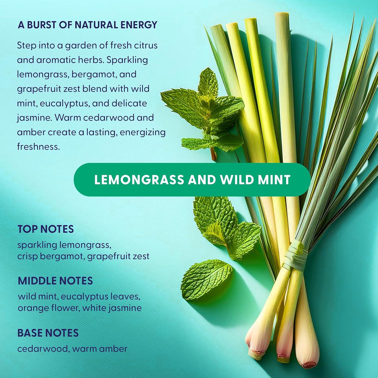 Cápsulas de Lavavajillas Ecológicas Lavapod 60 Unidades