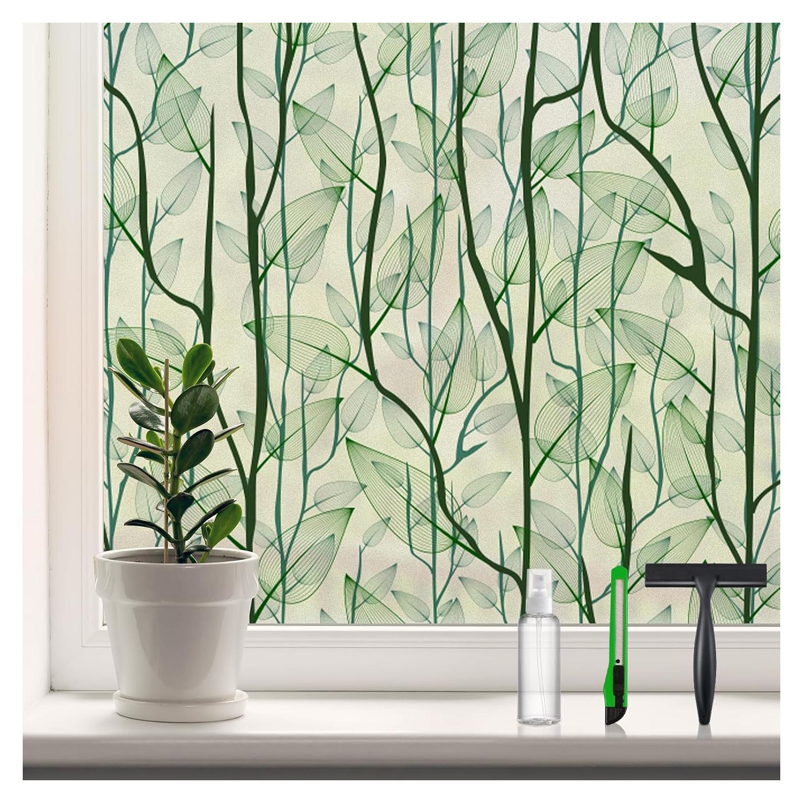 Película de Ventana DKTIE Privacidad 0.89 m² Verde Oscuro