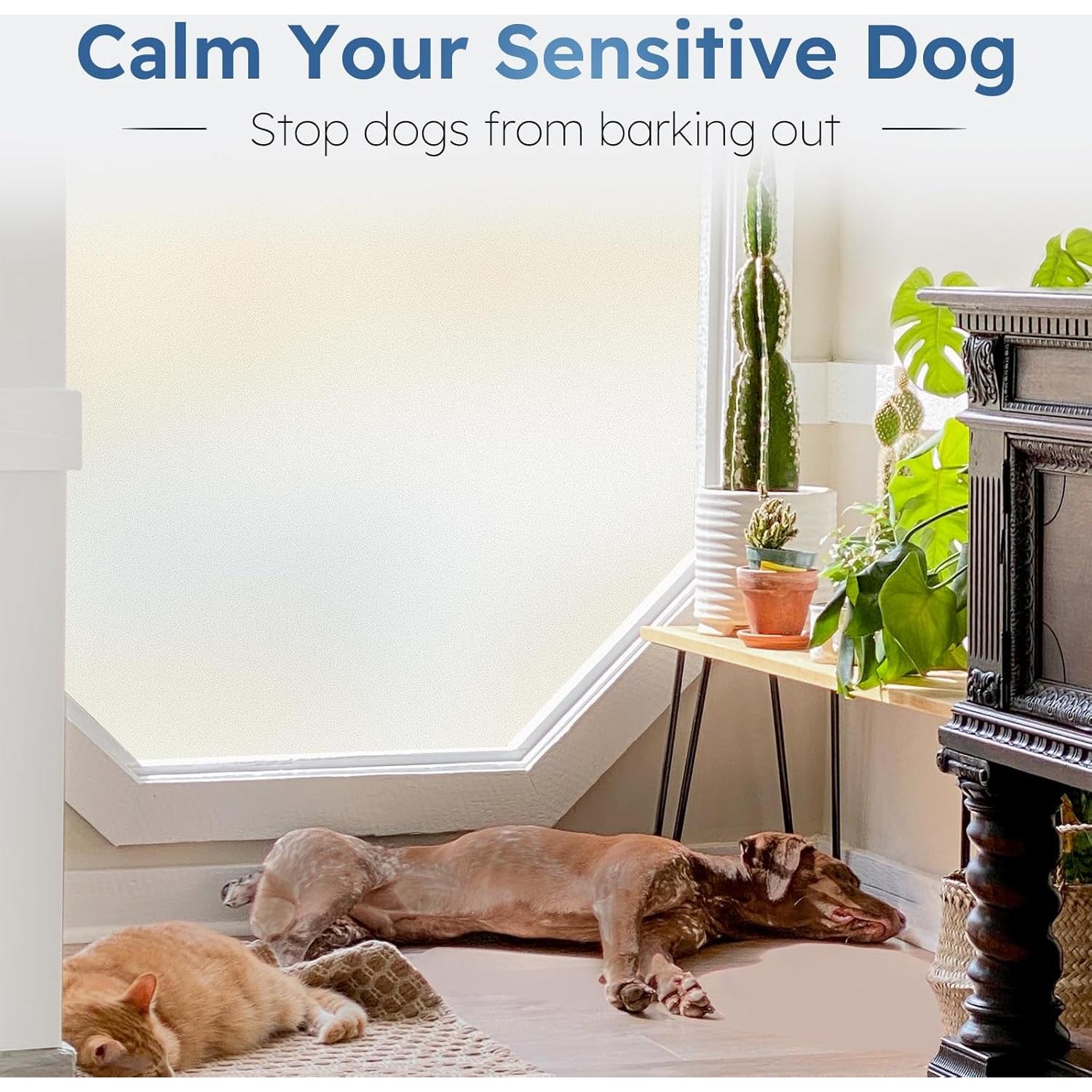 Película de Privacidad Rabbitgoo 44.5x200 cm Esmerilada UV