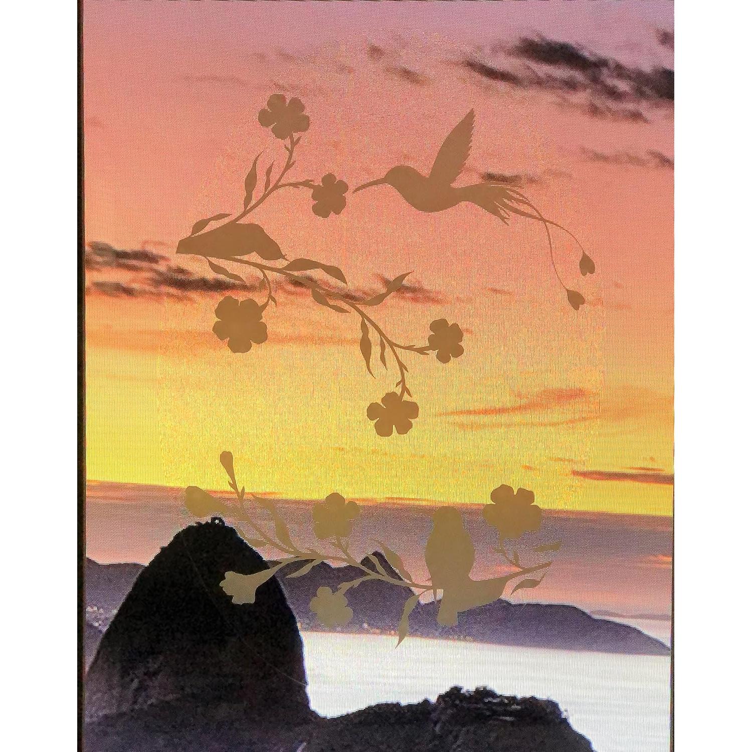 Vinilo Decorativo Colibríes DCentral 20.32x30.48 cm Opaco