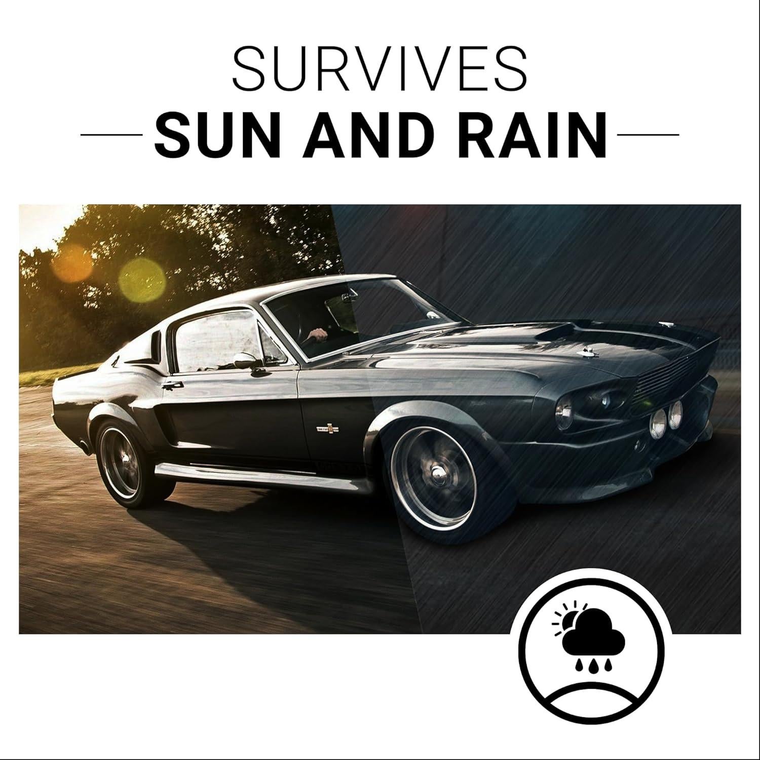 Restablecedor de Plástico CAR GUYS 240ml - Protección UV y Acabado Seco