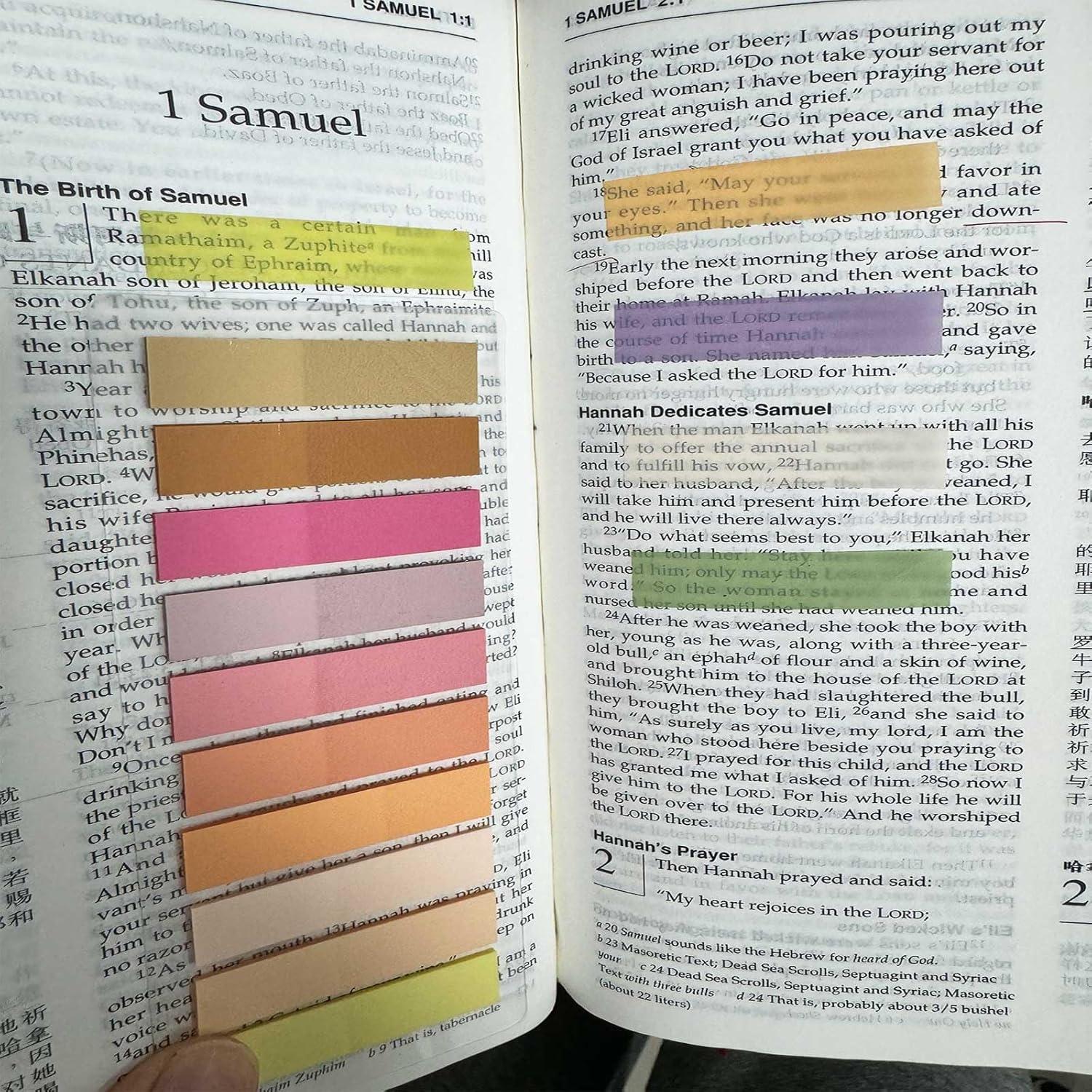 Pestañas Adhesivas Morandi ELII 6000 pcs 4.39x1.09 cm