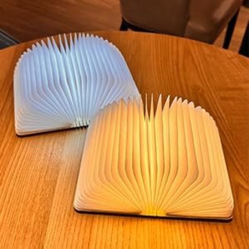 Lámpara de libro plegable DLUFYEI, luz LED recargable USB