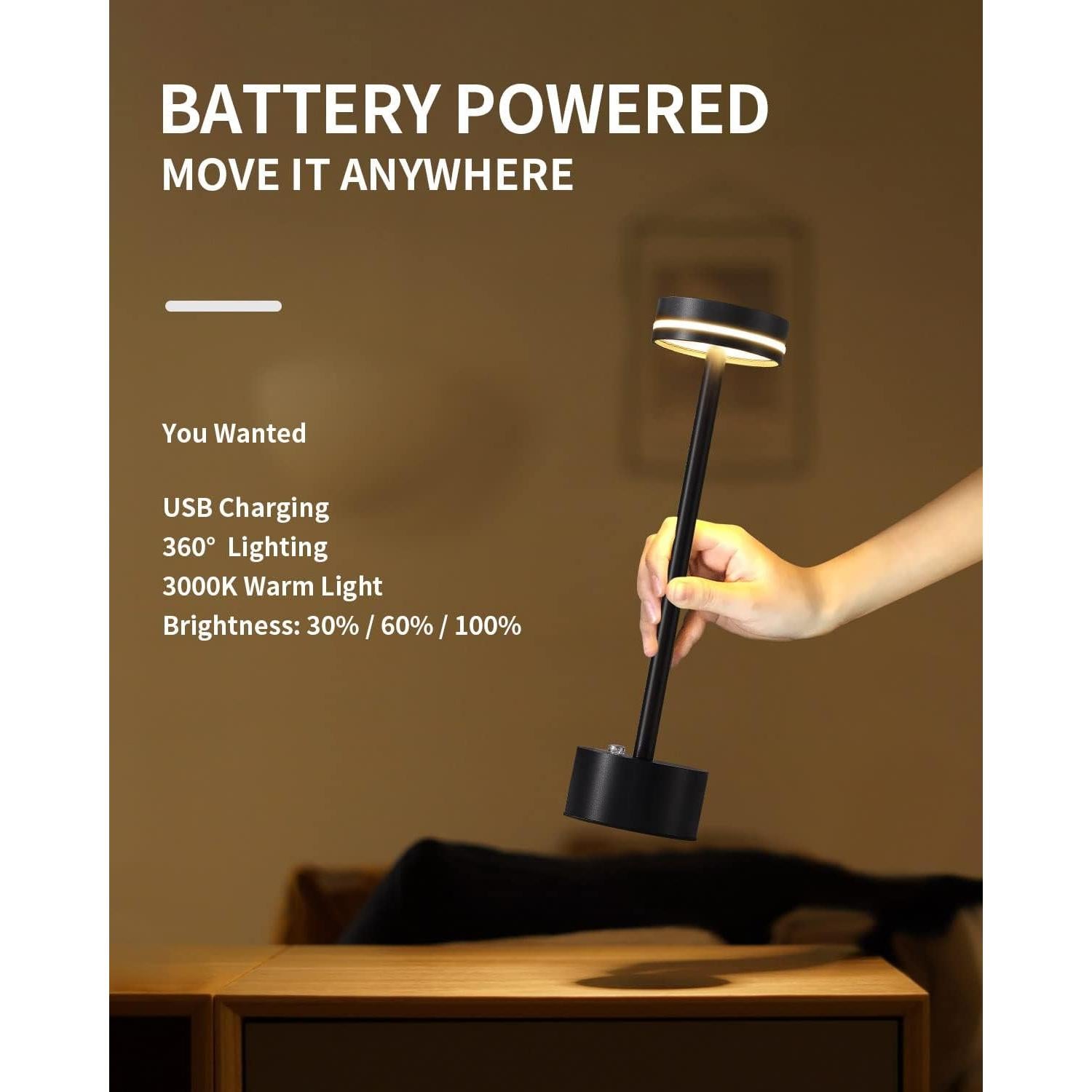 Juego de 2 Lámparas de Mesa Inalámbricas LED RH RUIVAST