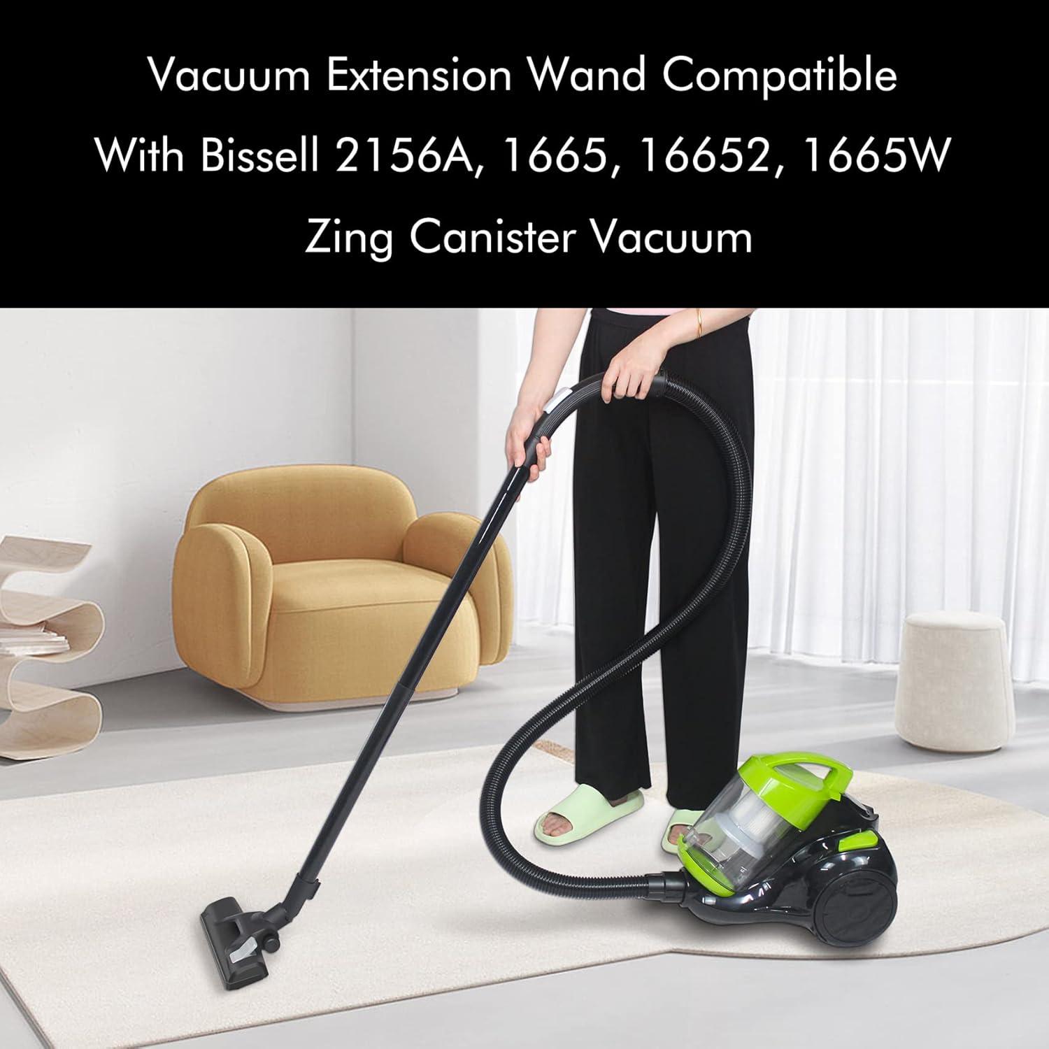 Manguera de Reemplazo Bissell Zing CPAI 41.91 cm (Paquete de 2)