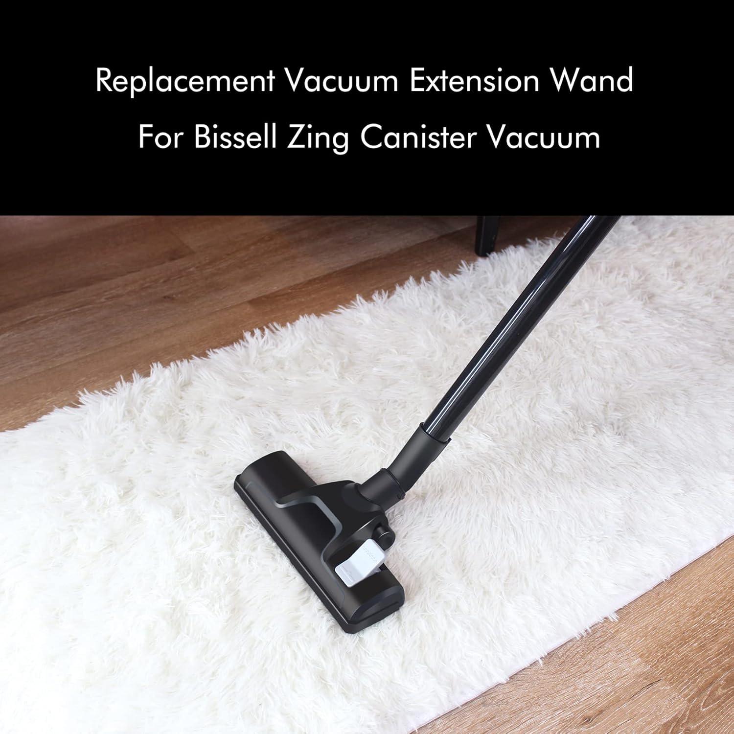 Manguera de Reemplazo Bissell Zing CPAI 41.91 cm (Paquete de 2)