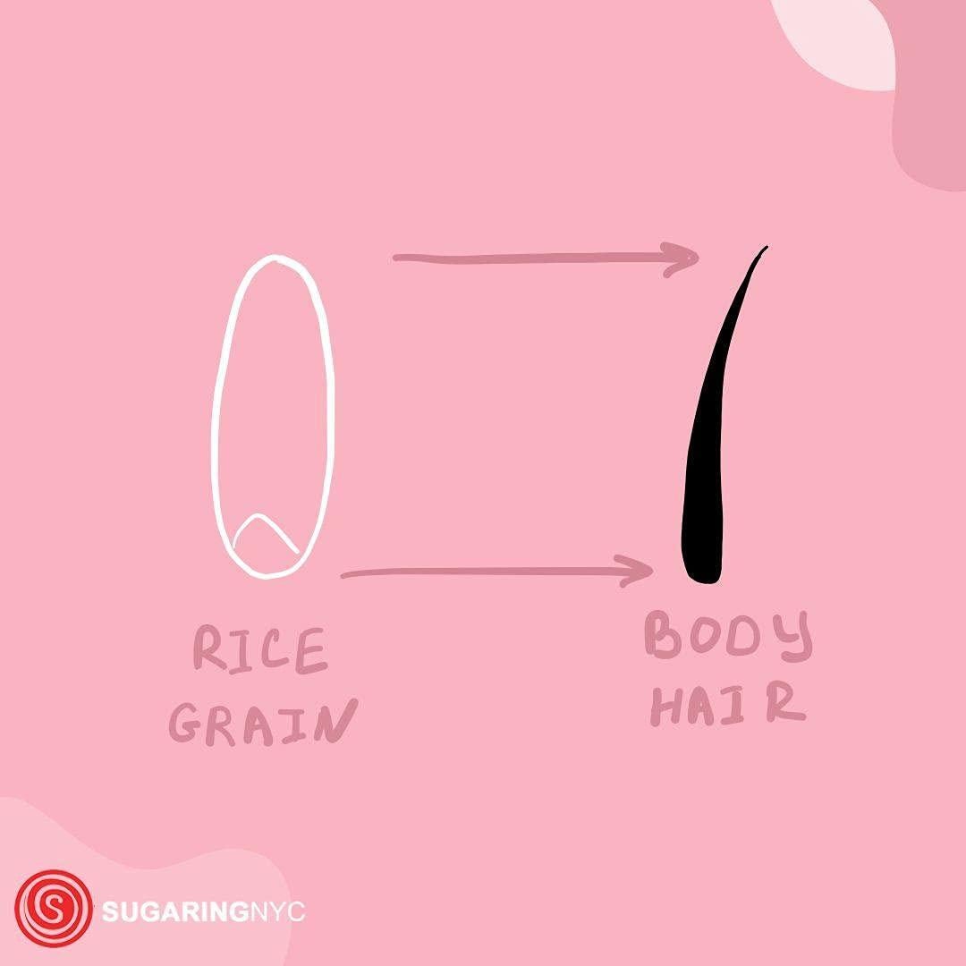 Paquete de Pasta de Azúcar Sugaring NYC 12 frascos 1.36kg