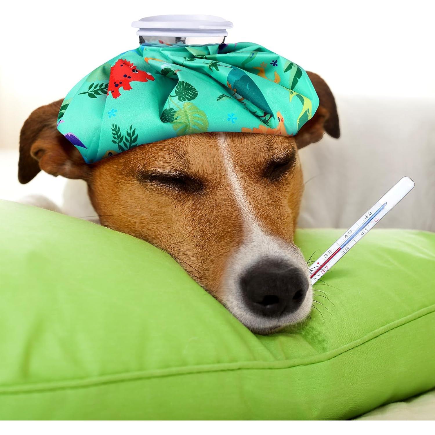 Bolsa de Hielo Reutilizable Shihanee 3 Pcs Multicolor 15-23 cm