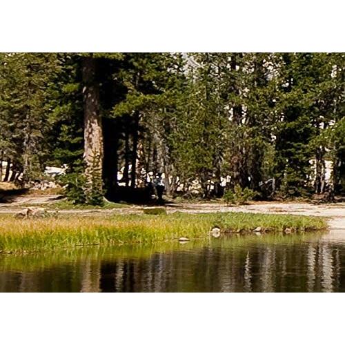 Lienzo Acústico Artgeist 80x40 cm 5 Piezas Naturaleza