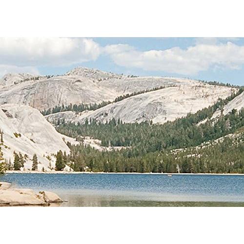 Lienzo Acústico Artgeist 80x40 cm 5 Piezas Naturaleza