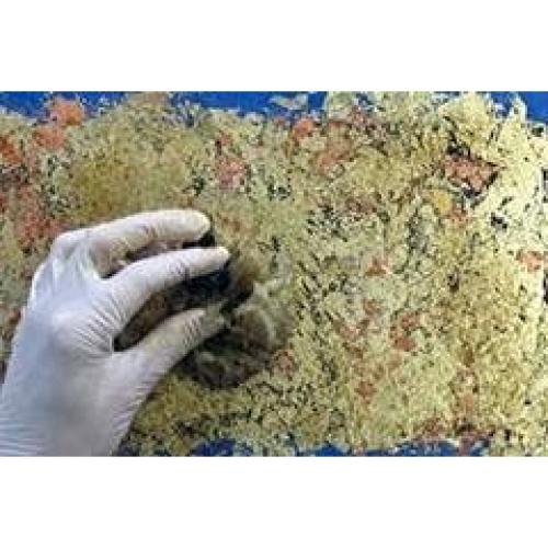 Copos de Hoja Tamise Sepp Leaf Otoño Variegado 4.5g