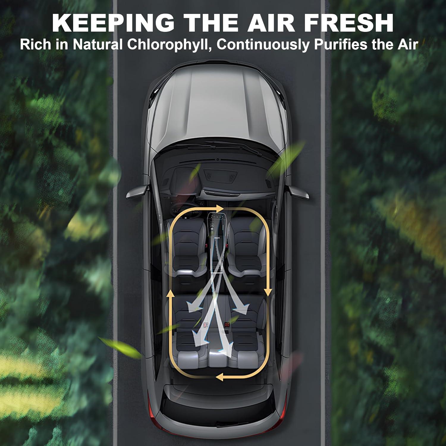 Recarga Ambientador de Auto Dvqag - 8 Fragancias 10ml