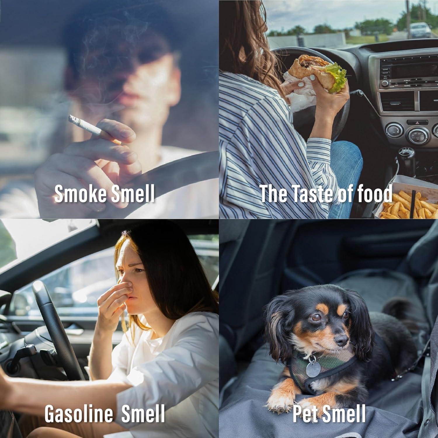 Ambientador de Auto CARORI Clip Gardenia 13ml x2 - 180 Días