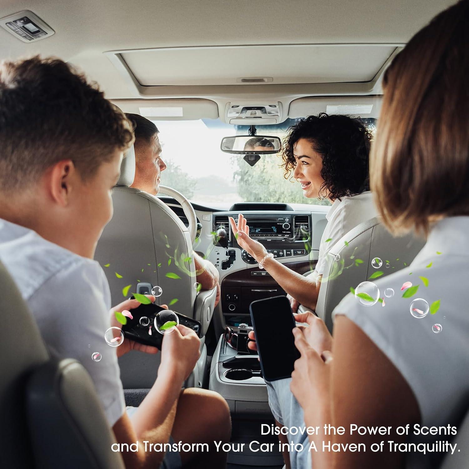 Ambientador de Auto RoyAroma con 10 Varillas Aromáticas y Clips