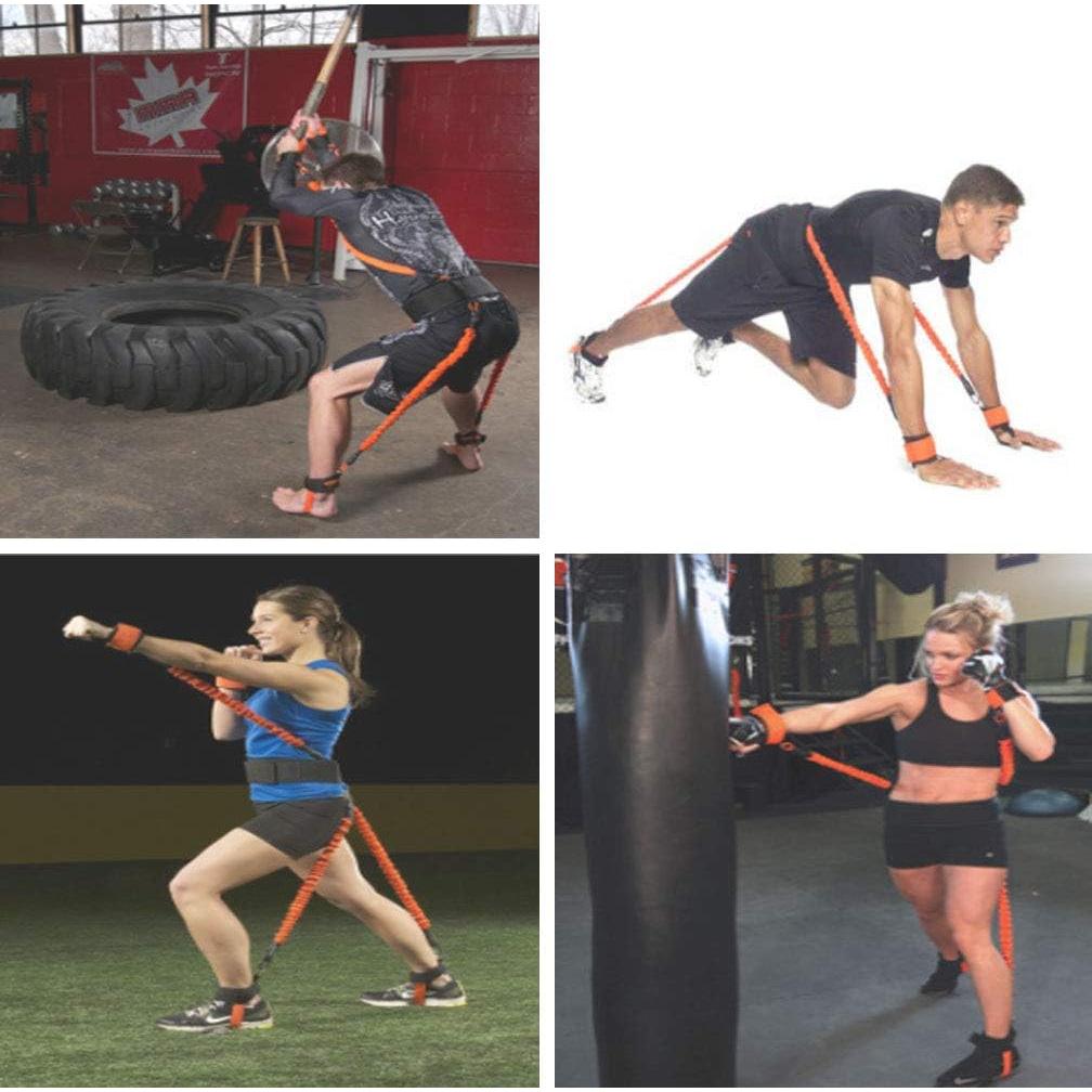 Entrenador de Bandas de Resistencia Sunsign para Ejercicio