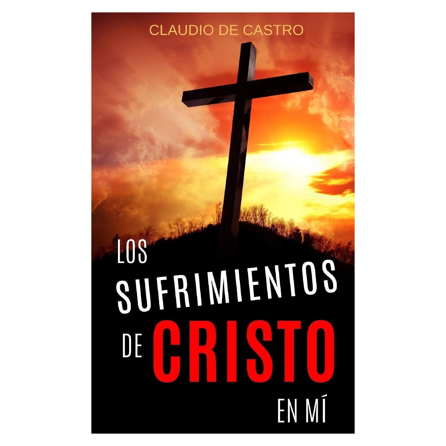 Los SUFRIMIENTOS de CRISTO en mí: ¿Te has preguntado alguna vez por qué sufrimos? (Libros de Autoayuda y Crecimiento Espiritual) (Spanish Edition)