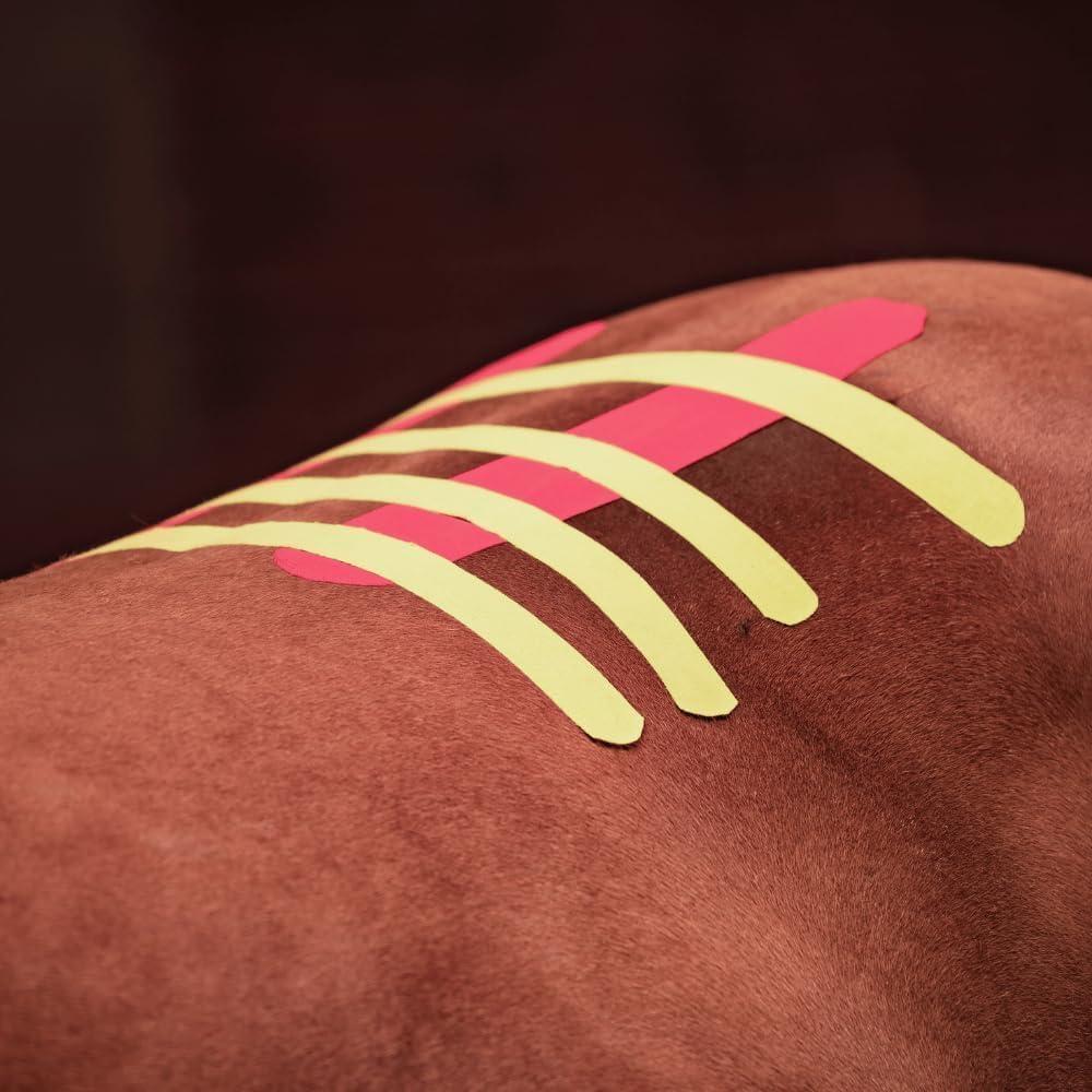 Cinta de Kinesiología Veterinaria Tmax 6 cm x 5 m Beige