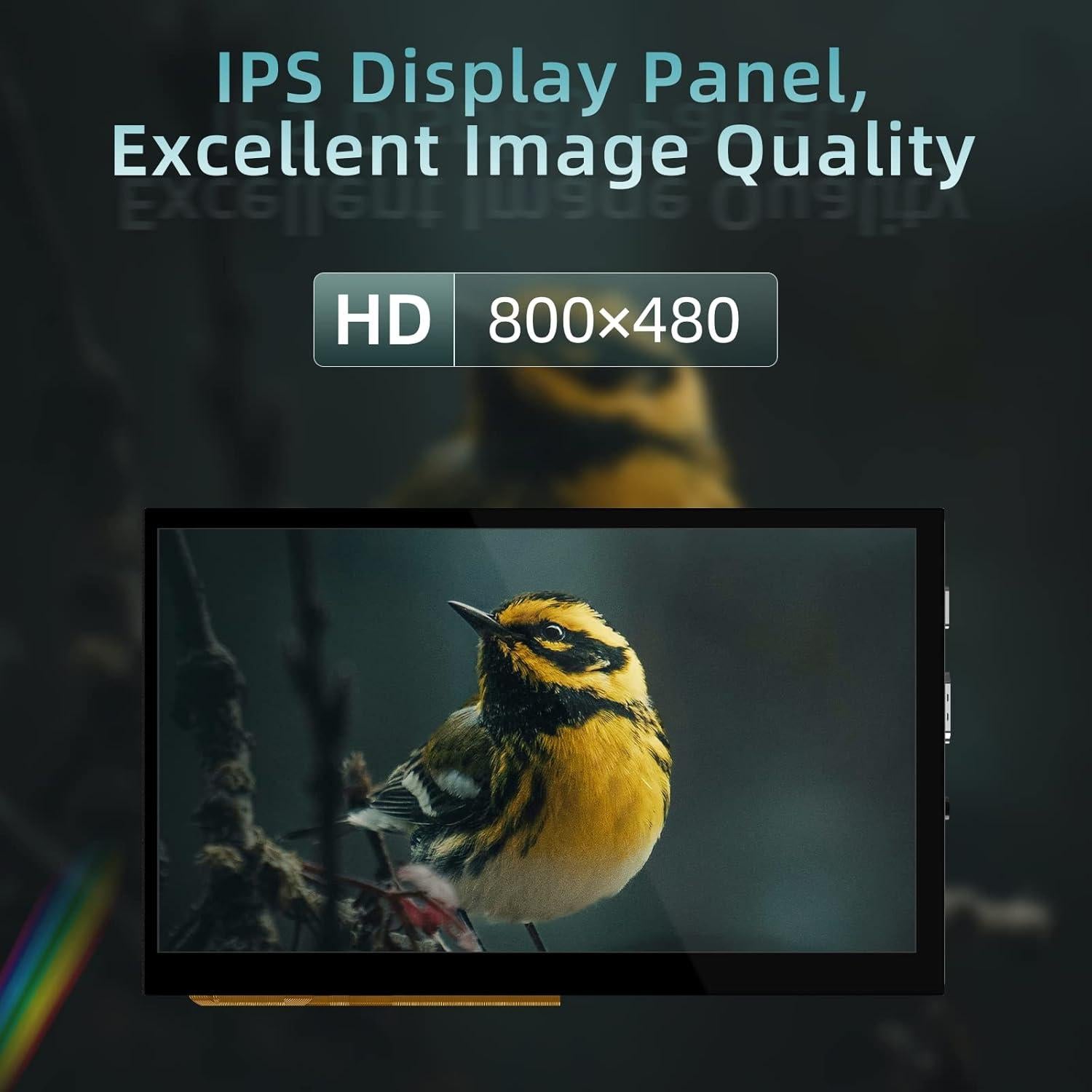 Pantalla Táctil HDMI 5" BIGTREETECH 800x480 IPS Compatible Raspberry Pi