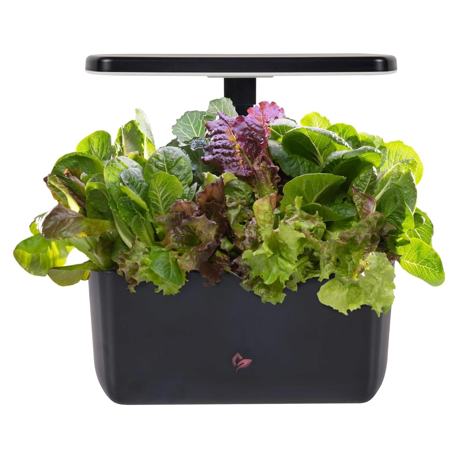 AeroGarden Harvest 2.0 Jardín Hidropónico 6 Cápsulas LED