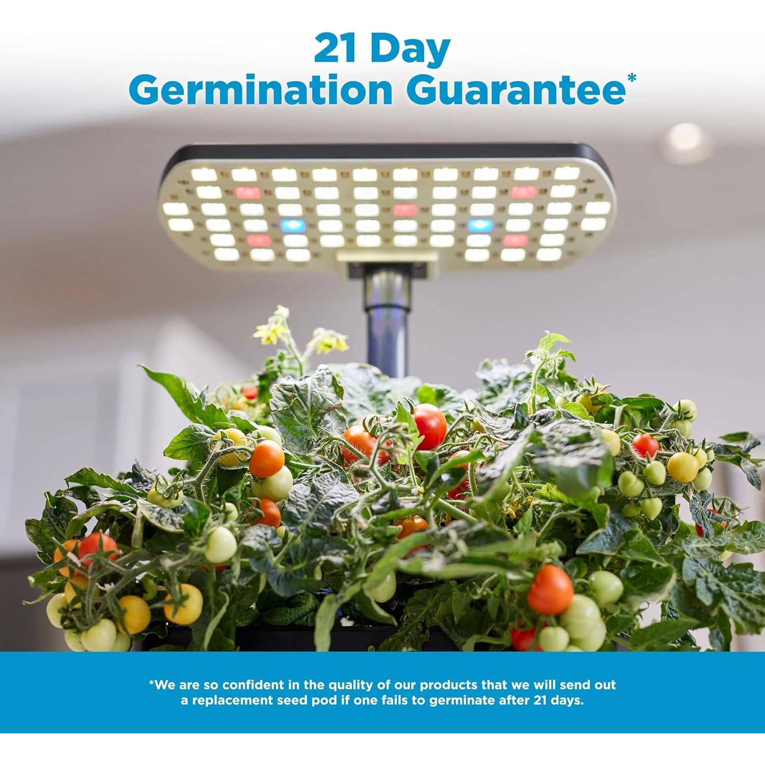 AeroGarden Harvest 2.0 Jardín Hidropónico 6 Cápsulas LED