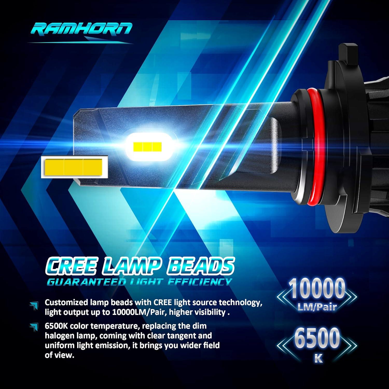 Bombillas de Niebla RAMHORN 9005 - Paquete de 2, 6500K